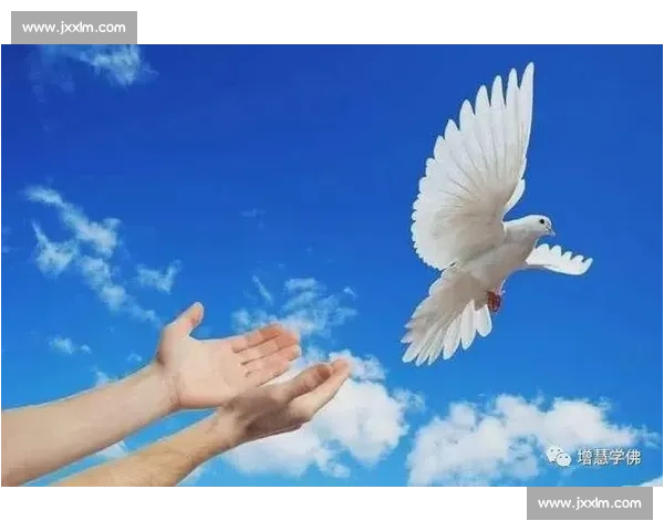 不可思议的逆转！他们如何在绝境中创造奇迹，赢得尊重！