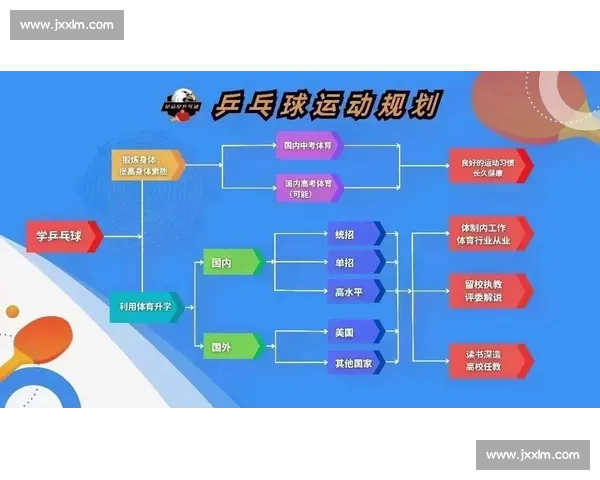 从基层到顶尖，一份适合所有乒乓球爱好者的训练计划